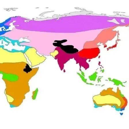 全球各地的域名服务器竞相参与