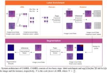 标签分割内容，使之更具吸引力。以下是完整的标题： 大数据承载能力揭秘：-优乐评测网