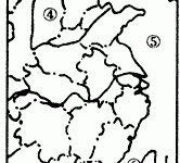 不同地区或国家出租服务器税率标准各异-优乐评测网