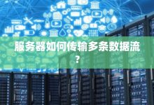 1g服务器流量等于多少?深度解析揭秘。-优乐评测网