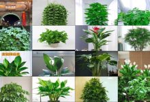 常见服务器网线速度有多少兆?-优乐评测网