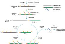 技术限制与扩容潜力解析-优乐评测网