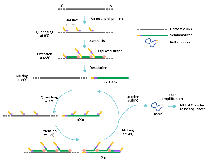 技术限制与扩容潜力解析