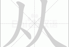 从方案到费用标准,全面解析服务器运营费用。-优乐评测网