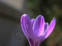 紫田中原数据基地:数据存储与处理的行业典范-优乐评测网