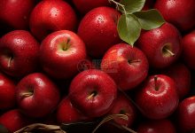 苹果托管服务器价格解析-优乐评测网