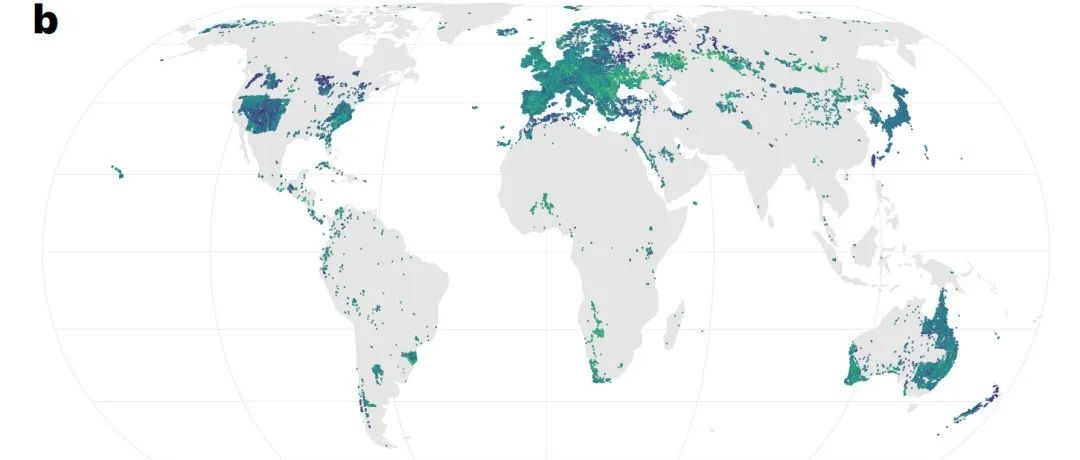 性价比考量要素多