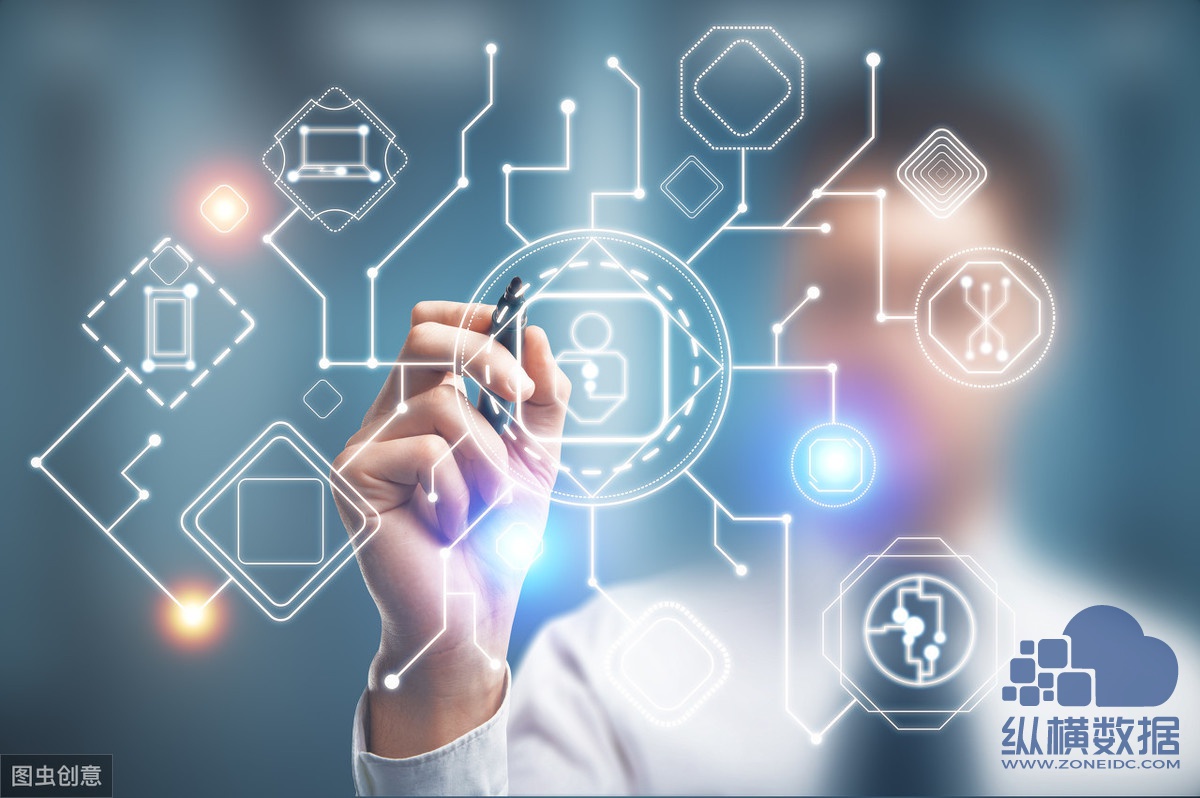 解析服务器租赁成本