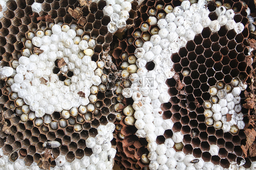 探寻马蜂窝云的创新科技与应用前景