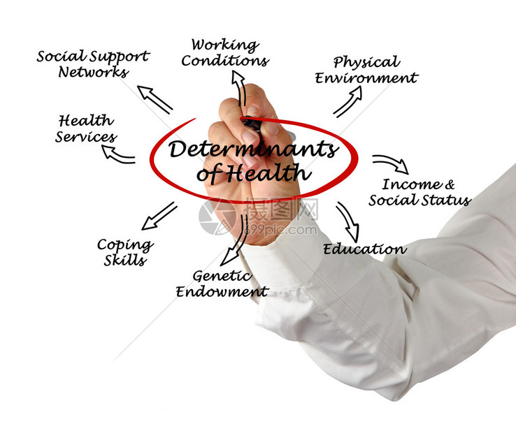 多种因素决定服务器费用