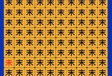 不同游戏类型对带宽的需求有何差异？-优乐评测网