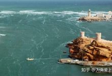 <强烈冲击市场！服务器芯片最新价格大揭秘：每台降价多少让人意外-优乐评测网