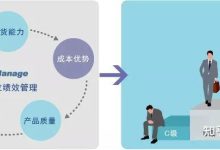 不同供应商和服务类型价格差异。-优乐评测网