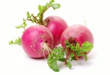 萝卜企业服务器价格概览及不同机型费用分析-优乐评测网