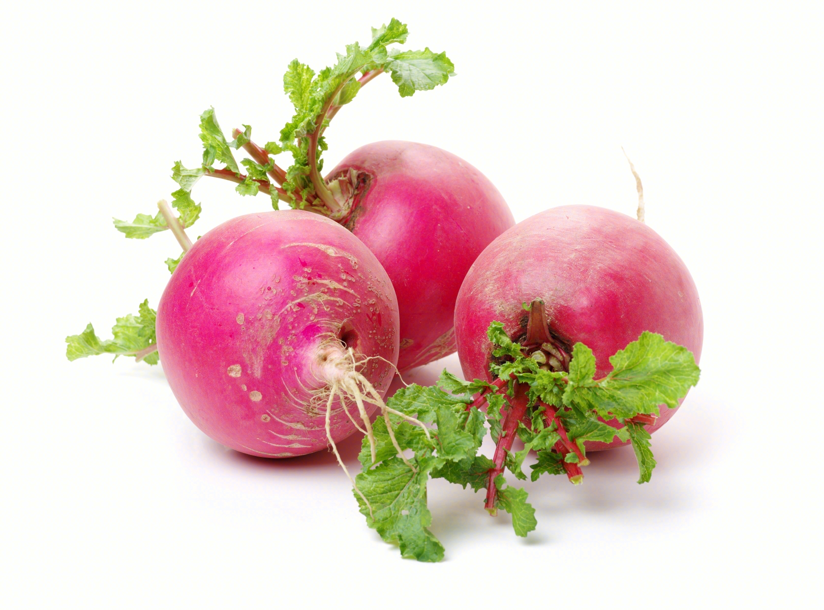 萝卜企业服务器价格概览及不同机型费用分析