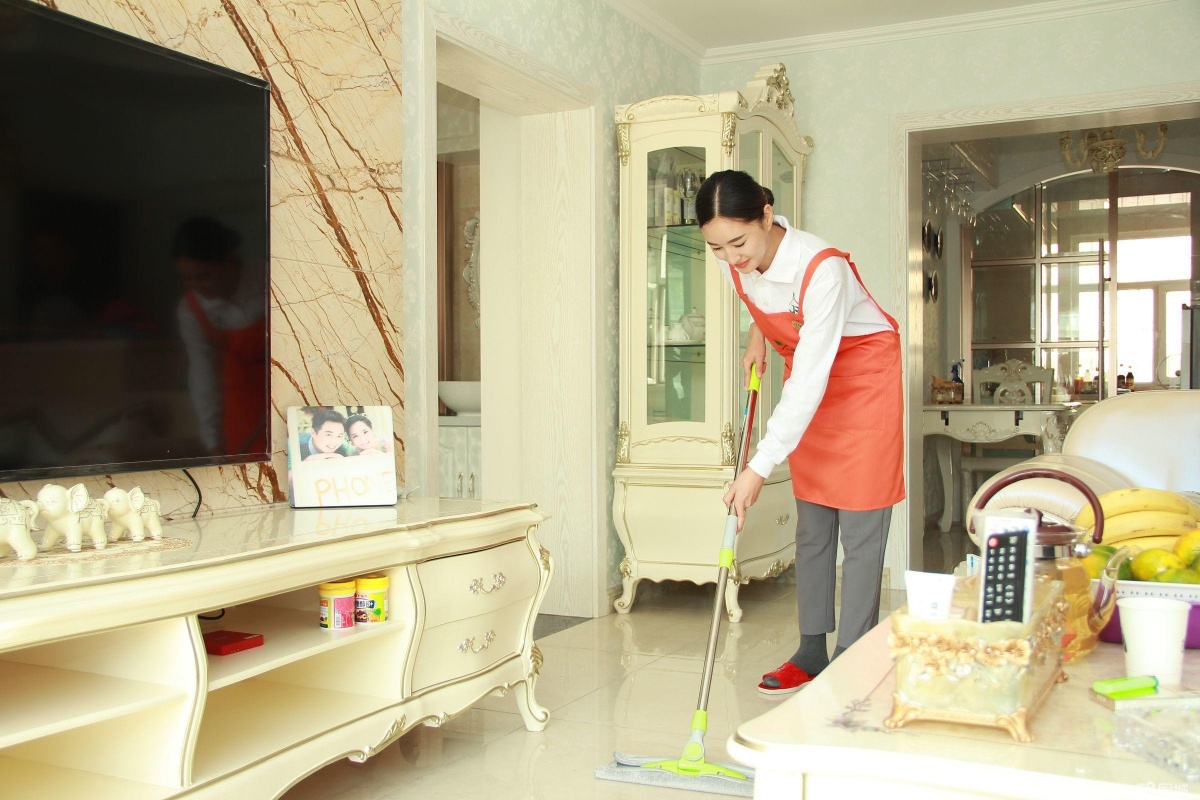 不同区域服务器性能对比与优化策略