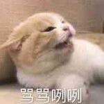 寻找最适宜的清洗服务器价格区间