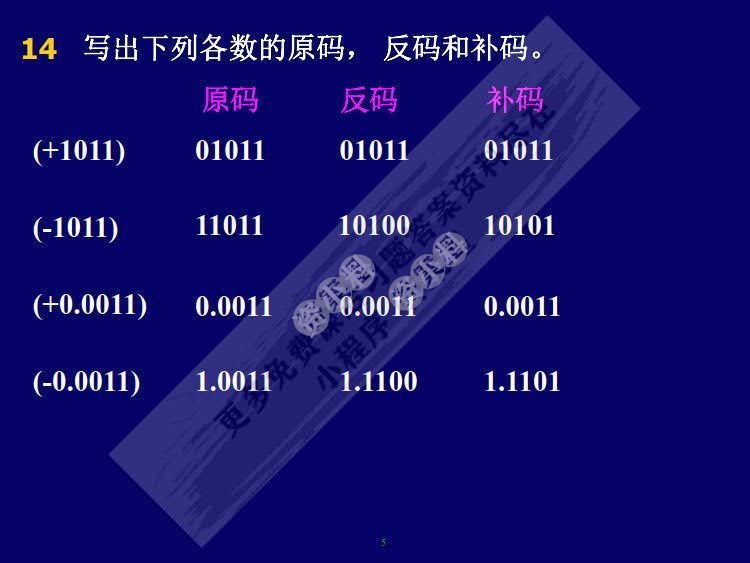 解析其在数字