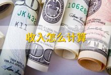 一年的收入有多少?-优乐评测网