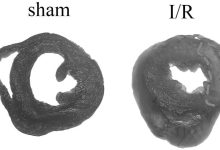 如何评估Minecraft服务器的流量消耗?-优乐评测网