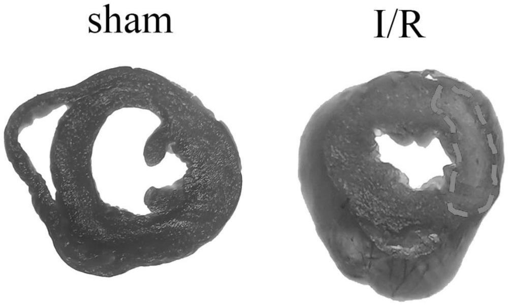 如何评估Minecraft服务器的流量消耗