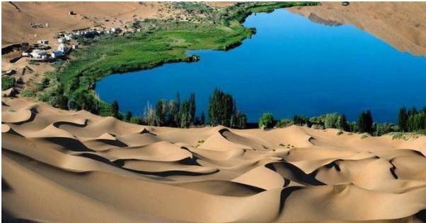 绿洲服务器运行周期概览