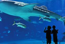 最大服务器容量揭秘-优乐评测网