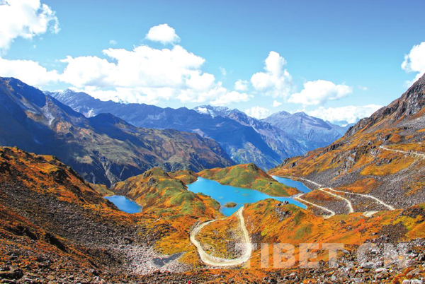 西藏人民医院开展云医疗服务的深度探索