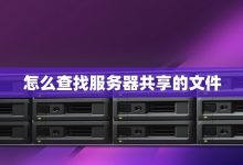 探寻服务器中鞘翅的存在数量-优乐评测网