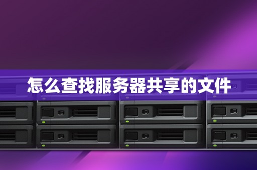 探寻服务器中鞘翅的存在数量