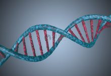 最新郑州DNS服务器地址查询-优乐评测网