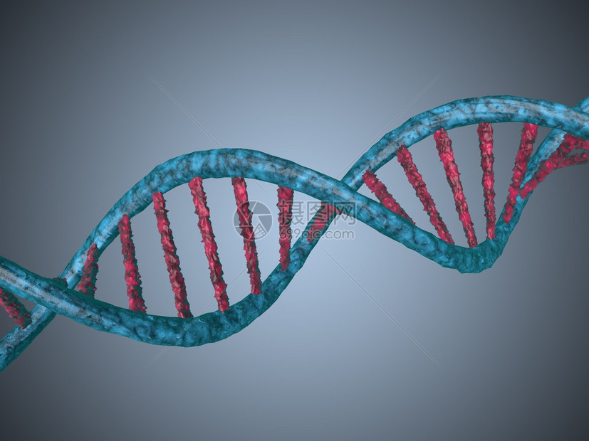最新郑州DNS服务器地址查询