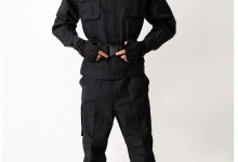 特定技术型服务器盈利途径。-优乐评测网