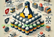 探寻服务器与主机之间的速度差距-优乐评测网