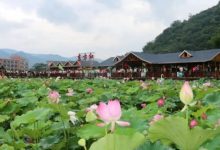 探寻阳山服务器至临武的行程时长-优乐评测网