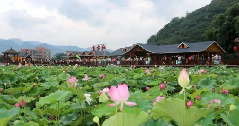 探寻阳山服务器至临武的行程时长