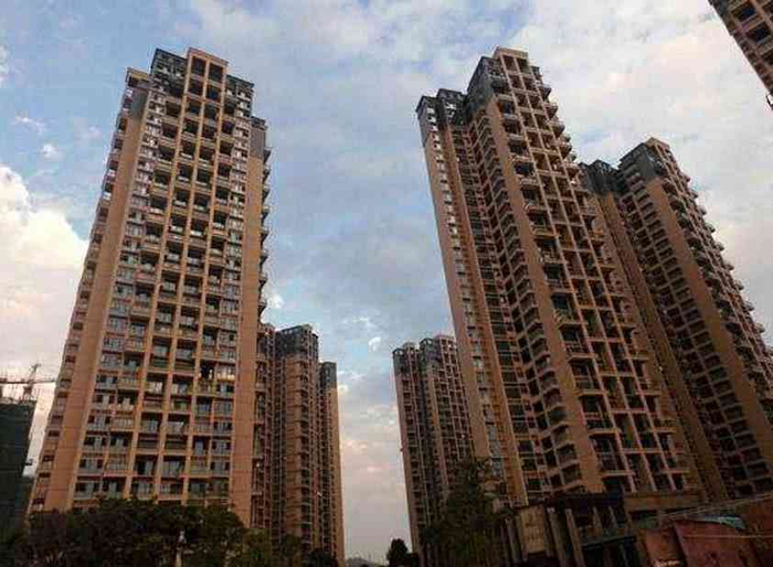 揭示背后的真相