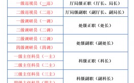 各等级所需条件及特性揭秘