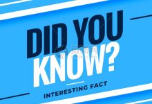 你需要知道的具体费用和最新报价。-优乐评测网