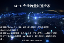 大牛子IEPL 流量转发、沪日电信IPLC/IX专线/广州移动/深圳移动/腾讯云入口等线路-优乐评测网